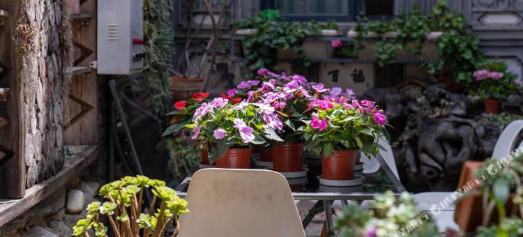 新新花园·多肉美宿家客栈(大理古城洱海店)图片