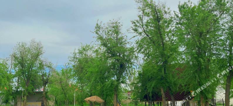 榆风野奢营地民宿(芦草沟店)图片