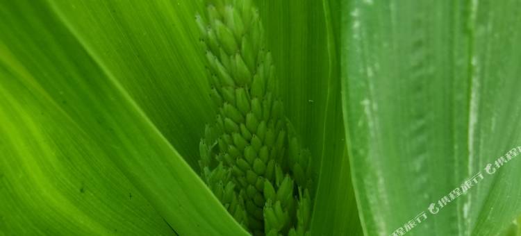 拾柒民宿(嵊泗基湖沙滩店)图片