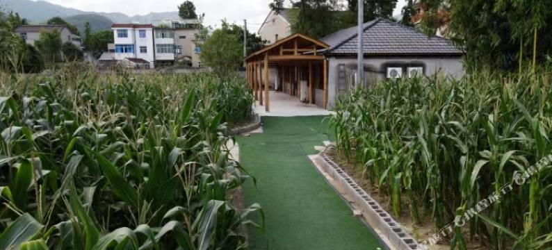 楼沁大野民宿(瑶琳仙境店)图片
