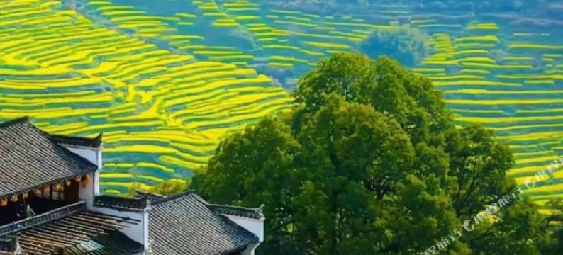 素朴·汀泉民宿(婺源篁岭店)图片