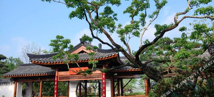 温州龙湾国际机场天玖王大酒店(滨海经济开发区店)图片