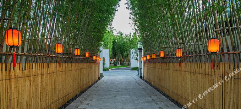 安吉九言鸟巢里酒店图片