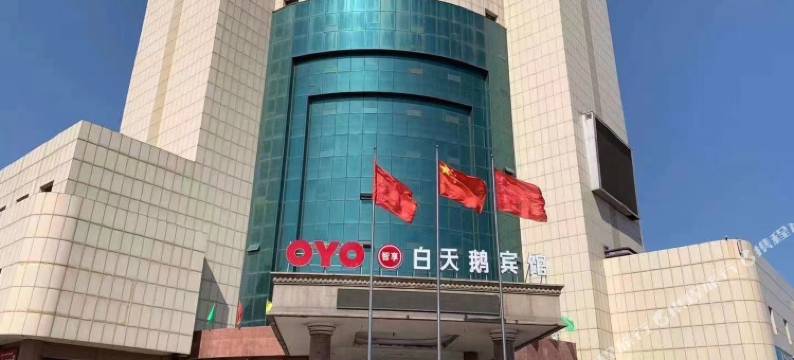 武安白天鹅宾馆图片