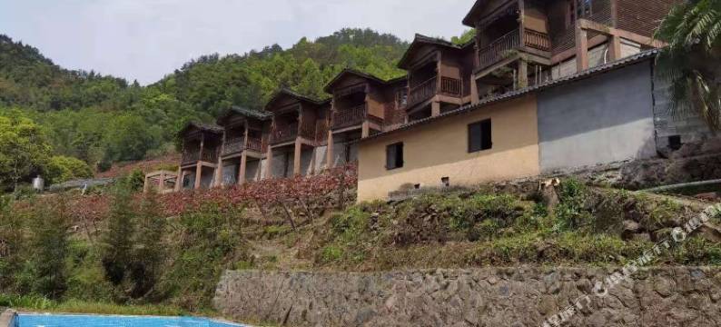 桐庐雪庐民宿图片