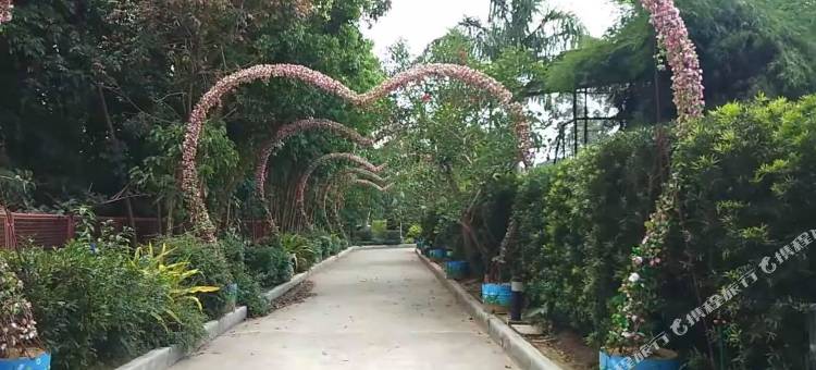 Cocotel浮动保护区度假村(Floating Sanctuary by Cocotel)图片