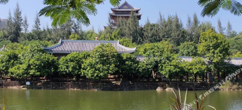 丽苑酒店(遂溪醒狮美食广场店)图片