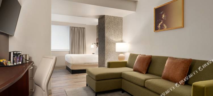 纽约市中心希尔顿逸林酒店(DoubleTree by Hilton New York Downtown)图片