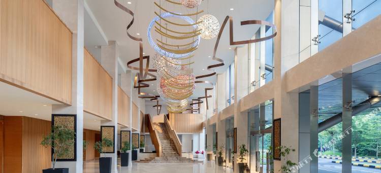 巴淡岛高尔夫及会议中心丽筠酒店(Radisson Golf & Convention Center Batam)图片