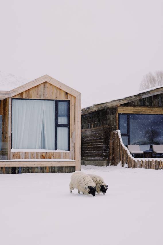 丽思漫丨心宿·牧野供氧庄园(香格里拉店)图片