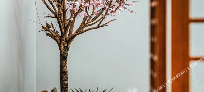 乐山遇见院子民宿(乐山大佛店)图片