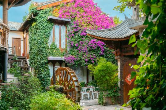 指云公馆丨丽江纳西民居在地文化体验美宿图片