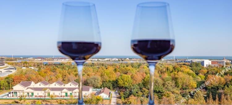 丽舍海景公寓(日照万平口景区火车站店)图片