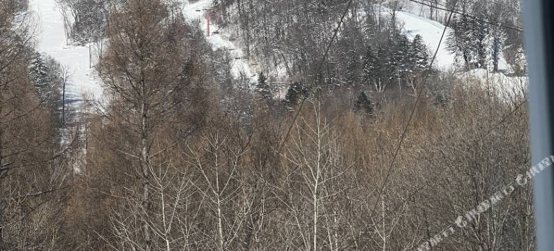 长白山云水之间逸居民宿图片