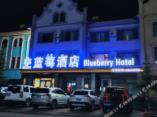 漠河蓝莓酒店(松苑公园北极星广场店)