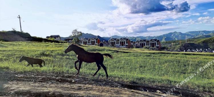 天外居公寓(崇礼店)图片