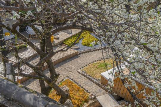 花筑·九品堂ㅣ百年古树Century Tree·森氧疗愈院墅(束河古镇店)图片