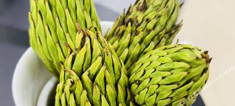 丽江锦润假日酒店图片