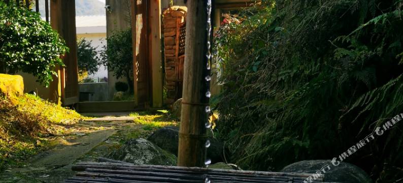 象山泊心谷民宿图片