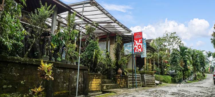 OYO Kampung Wisata Ekologi Puspa Jagad 靠近克鲁德山(Hotel O Kampung Wisata Ekologi Puspa JagadNearGunung Kelud)图片