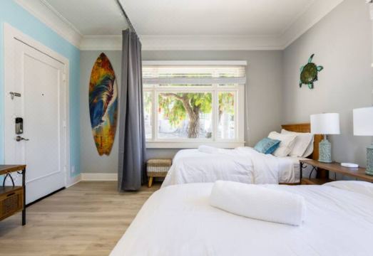 Another Day in ParadiseHotel Overview