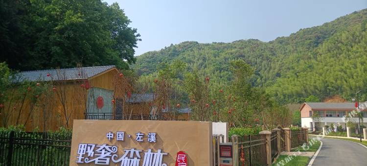 左溪野奢森林民宿图片