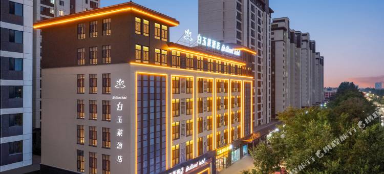 白玉莱酒店(银川怀远文旅观光夜市宁夏大学怀远校区店)图片