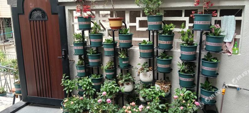 和乐半山别墅(广济桥店)图片