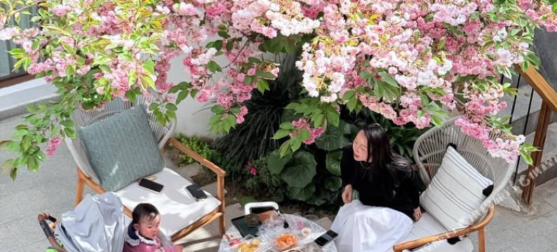 丽江古城•百花谷客栈图片