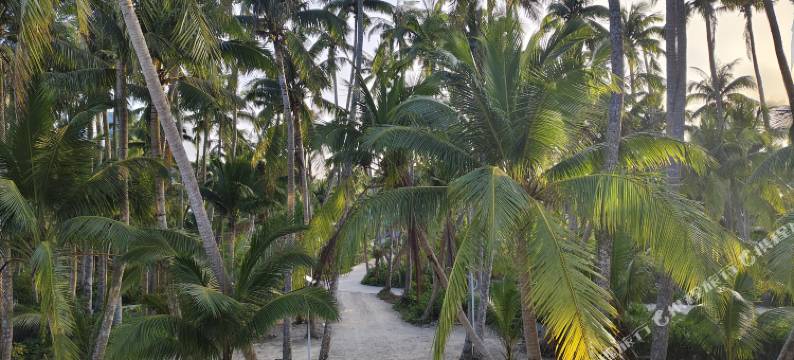 文昌东郊椰林驿站图片