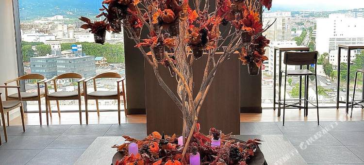 富士山三岛 东急酒店(Fujisan Mishima Tokyu Hotel)图片