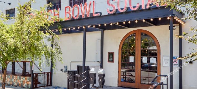 Sonder the Leo图片