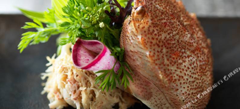 碧之座支笏湖鹤雅别墅(Lake Shikotsu Tsuruga Bessou Ao No Za)图片