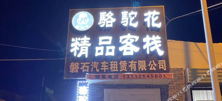 敦煌骆驼花精品城市客栈图片