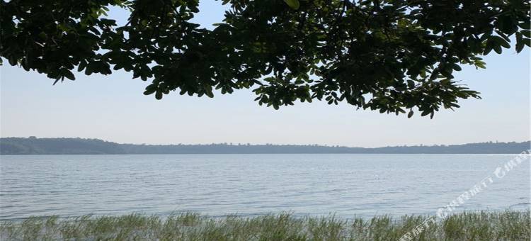 湛江柏寓民宿图片