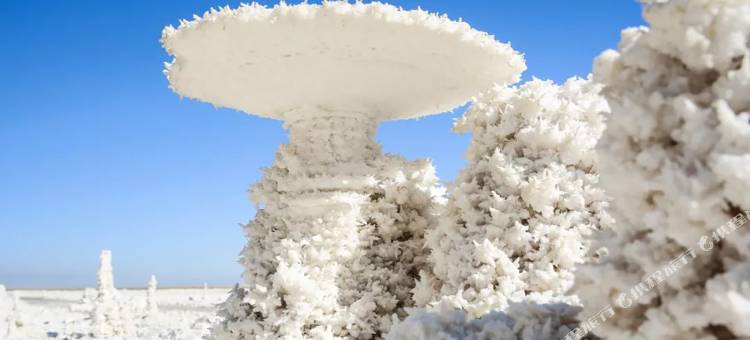 格林豪泰酒店(格尔木109国道火车站店)图片