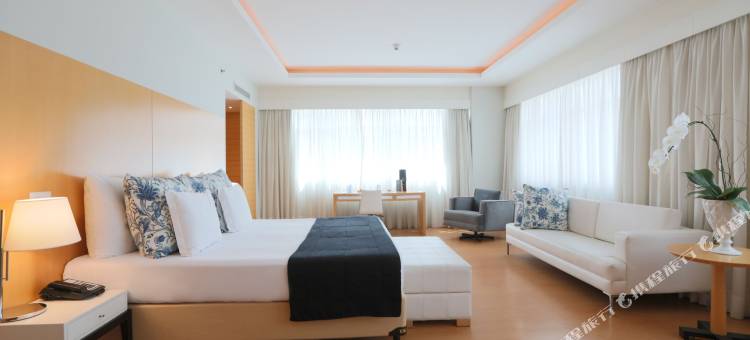 库里提巴佩斯塔纳酒店(Pestana Curitiba)图片