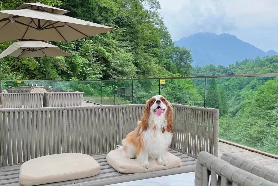 青城山雅上一宿酒店 · Yepsun Villa (都江堰青城后山泰安古镇店)图片