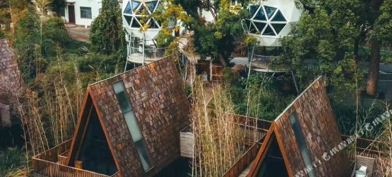 婺源树小蛙度假酒店图片