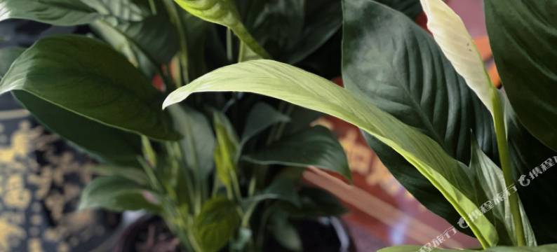 永胜绿州酒店图片