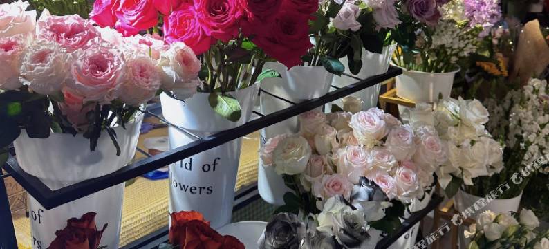 速家公寓(沙坡尾店)图片