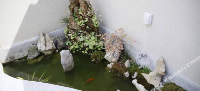 宜兴茶香丽舍民宿图片