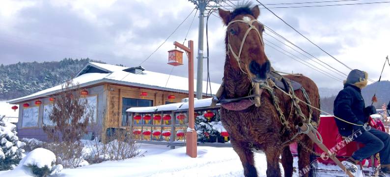 雪谷亿来客栈图片