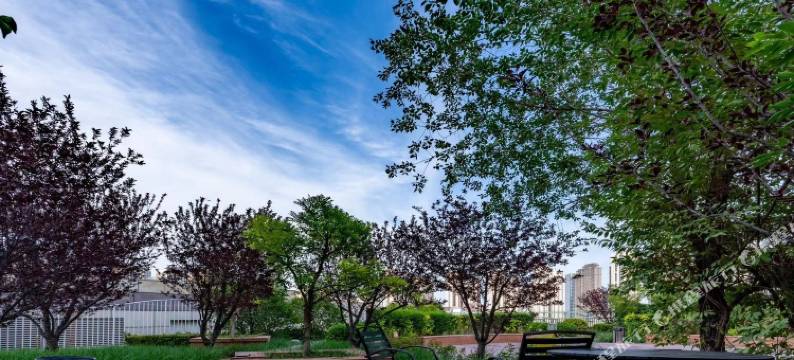 馨逸精品公寓(天津鼓楼地铁站大悦城店)图片