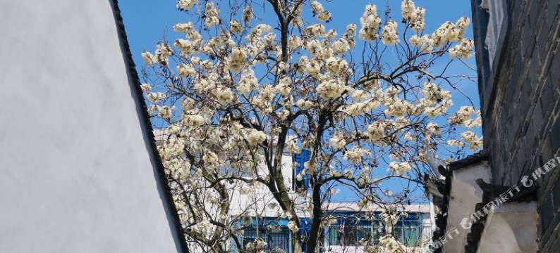 观己·拙然居民宿(江南宋城历史文化旅游区古城墙店)图片