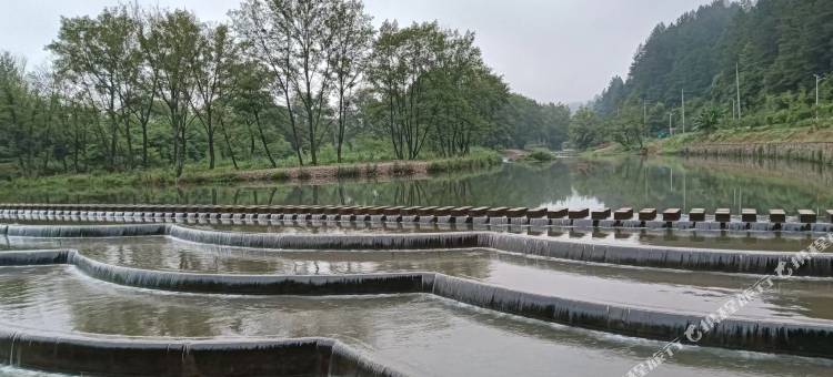 宁国茶缘民宿图片