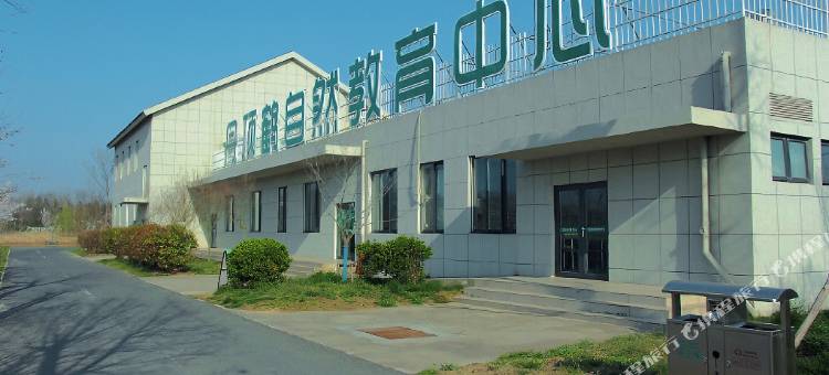 丹顶鹤民宿图片
