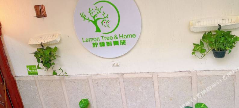 柠檬树青旅2店(Lemon Tree & Home 2)图片