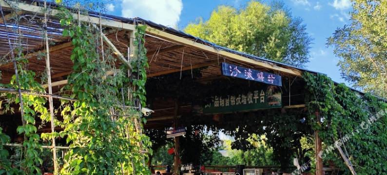 中卫市沙坡头区沙海驿站图片