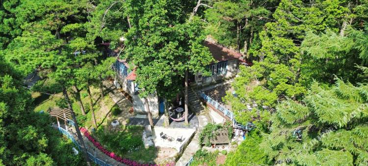 庐山普鲁士风情别墅图片